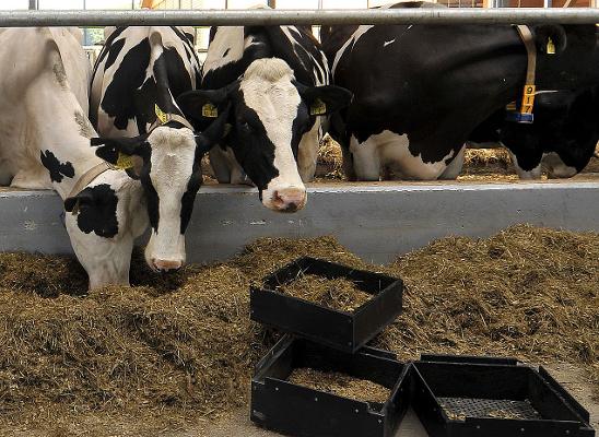 Futteranalyse Schüttelbox Auswertung Futteranalyse Schüttelbox Auswertung